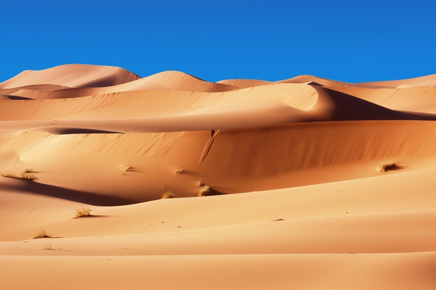 moroccan-desert-dunes-background-blue-sky_268835-1301